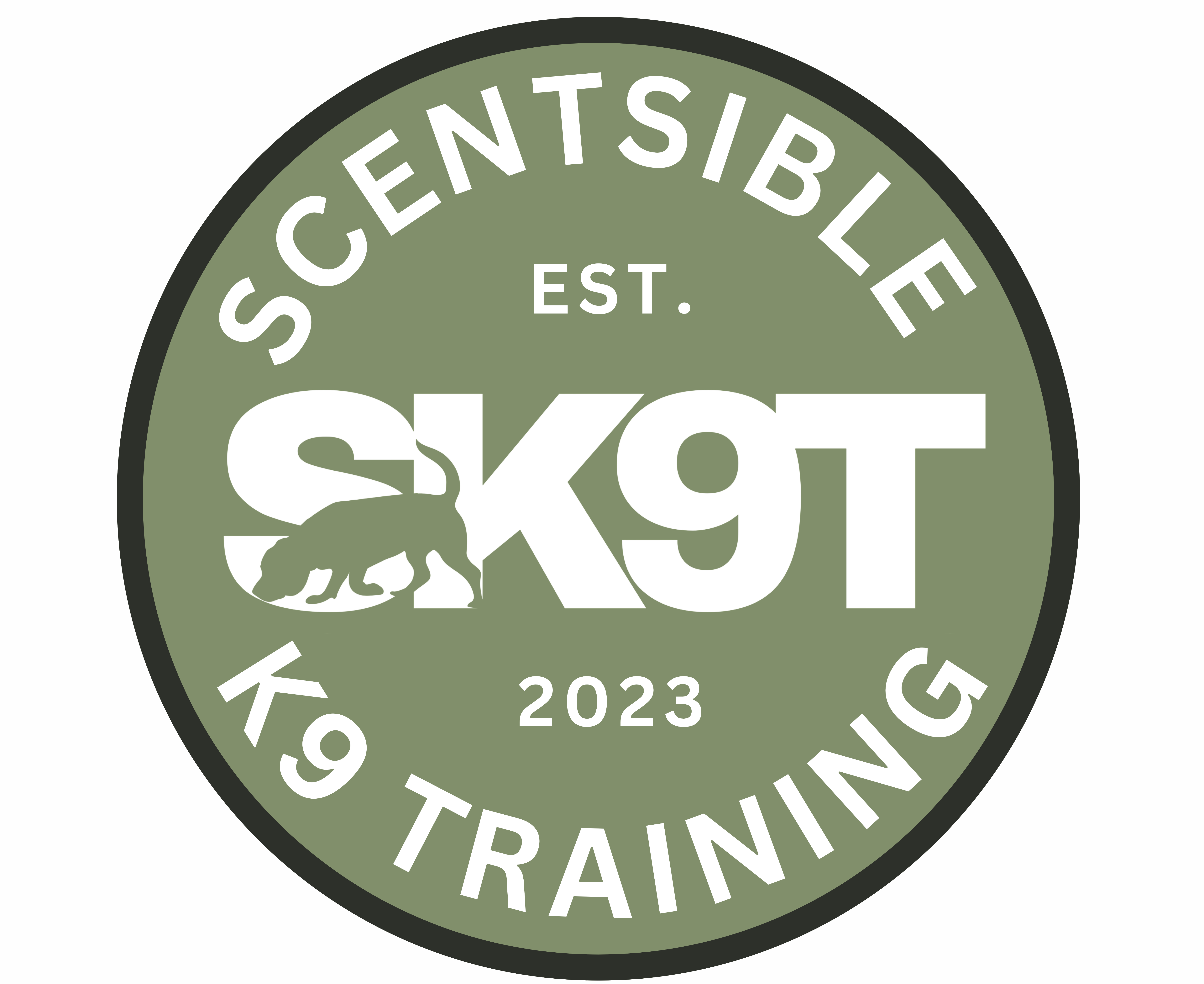 SK9 Training logo